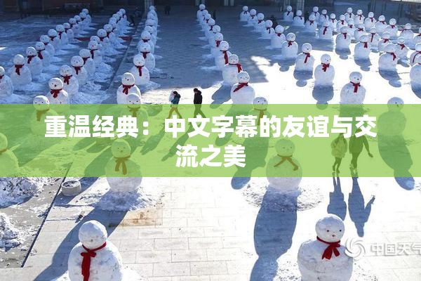 重温经典：中文字幕的友谊与交流之美
