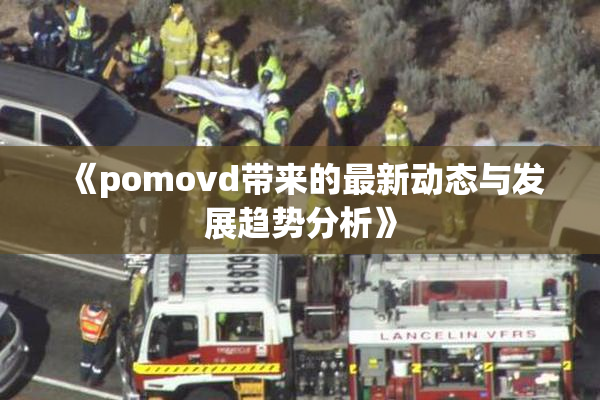 《pomovd带来的最新动态与发展趋势分析》