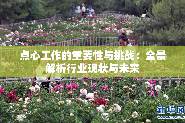 点心工作的重要性与挑战：全景解析行业现状与未来