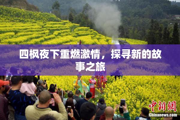 四枫夜下重燃激情，探寻新的故事之旅