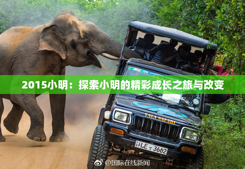 2015小明：探索小明的精彩成长之旅与改变