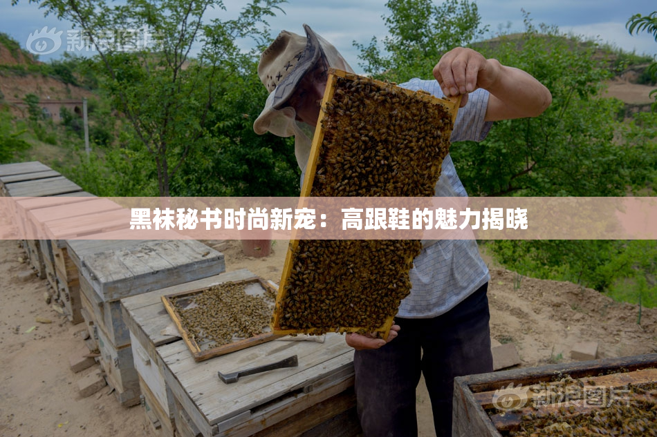 黑袜秘书时尚新宠：高跟鞋的魅力揭晓