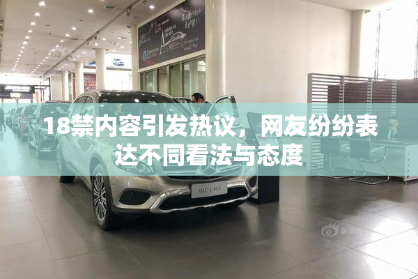 18禁内容引发热议，网友纷纷表达不同看法与态度