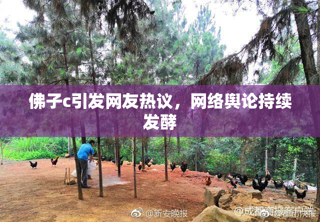 佛子c引发网友热议，网络舆论持续发酵