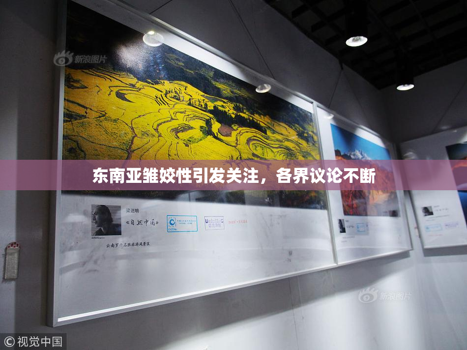东南亚雏姣性引发关注，各界议论不断