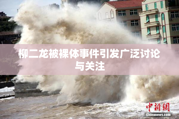 柳二龙被裸体事件引发广泛讨论与关注