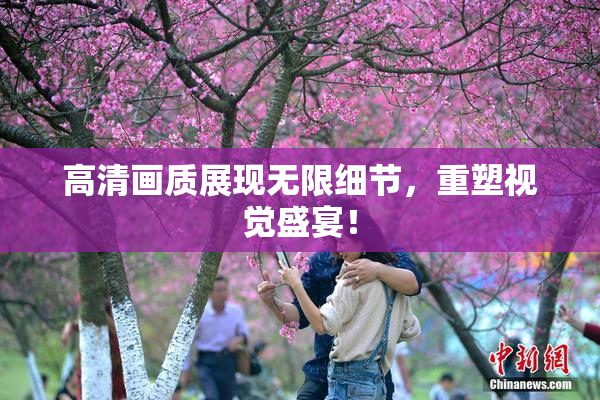 高清画质展现无限细节，重塑视觉盛宴！