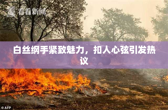白丝纲手紧致魅力，扣人心弦引发热议
