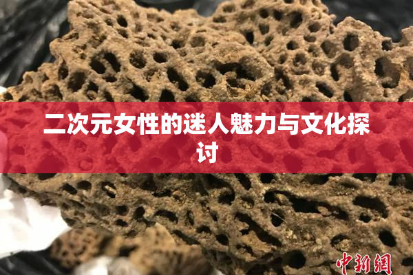 二次元女性的迷人魅力与文化探讨