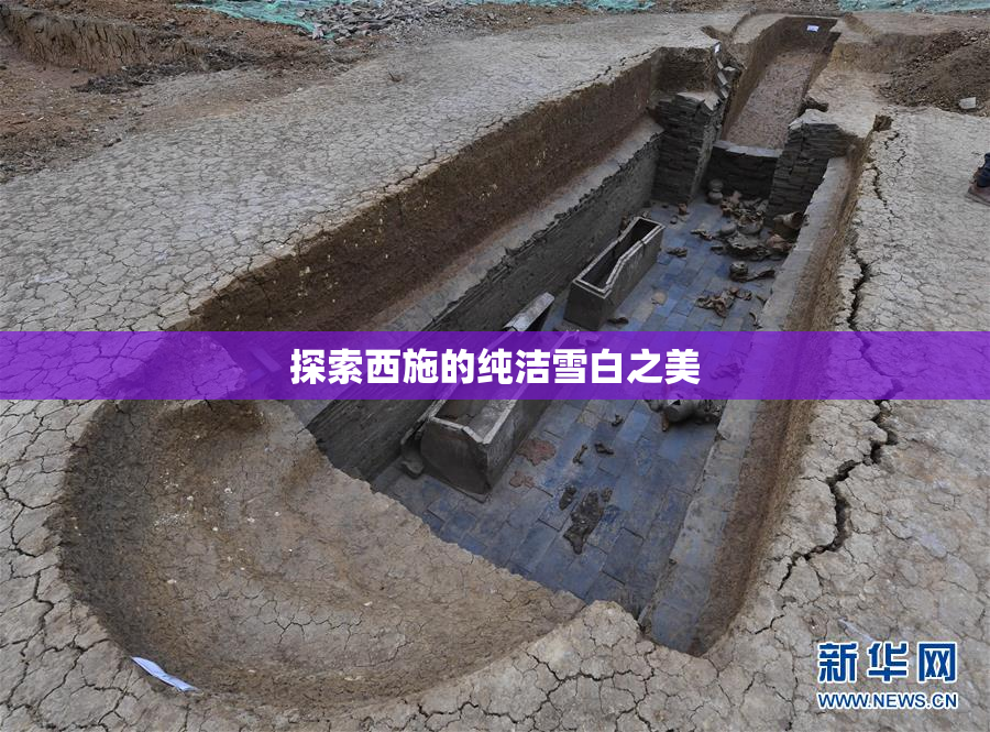 探索西施的纯洁雪白之美