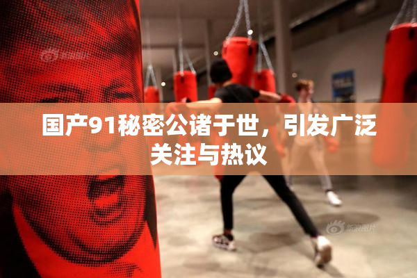 国产91秘密公诸于世，引发广泛关注与热议