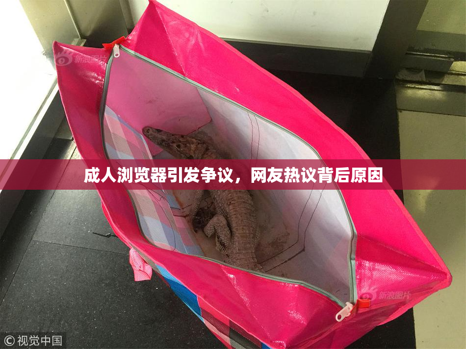 成人浏览器引发争议，网友热议背后原因