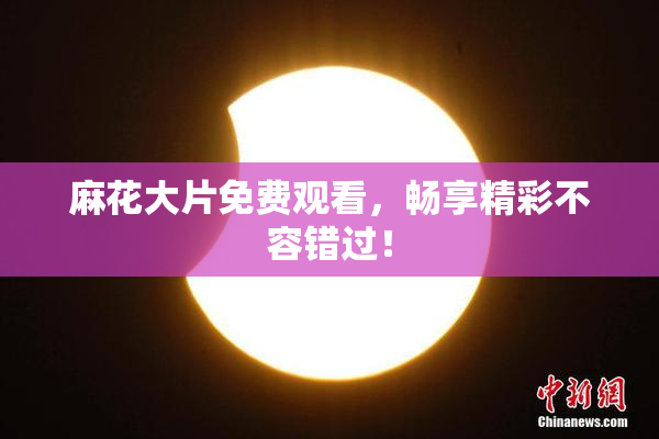 麻花大片免费观看，畅享精彩不容错过！