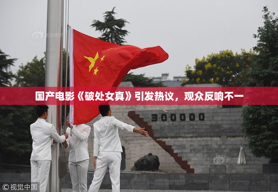 国产电影《破处女真》引发热议，观众反响不一