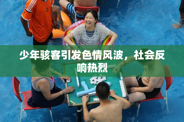 少年骇客引发色情风波，社会反响热烈