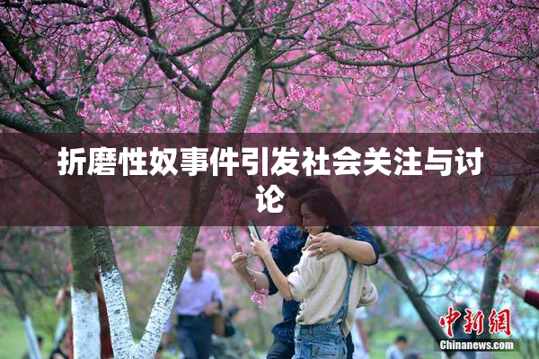 折磨性奴事件引发社会关注与讨论