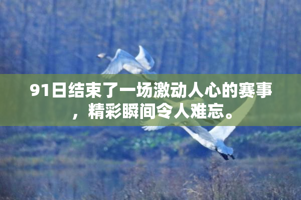 91日结束了一场激动人心的赛事，精彩瞬间令人难忘。