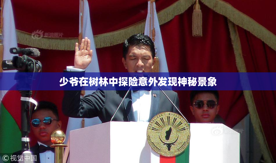 少爷在树林中探险意外发现神秘景象