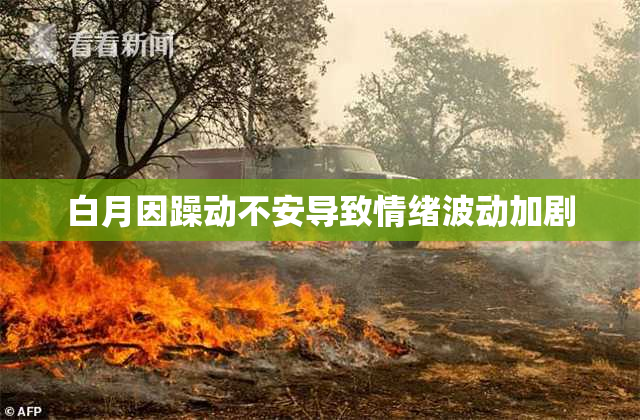 白月因躁动不安导致情绪波动加剧