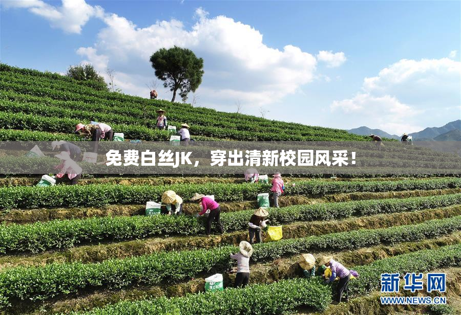 免费白丝JK，穿出清新校园风采！