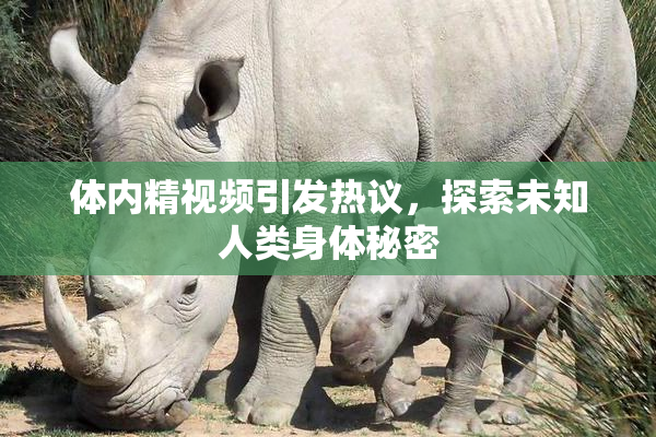 体内精视频引发热议，探索未知人类身体秘密
