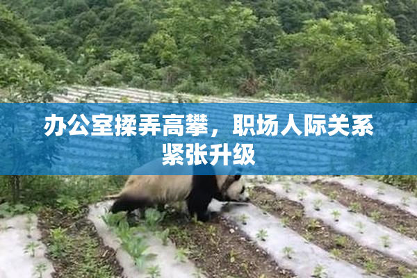 办公室揉弄高攀，职场人际关系紧张升级