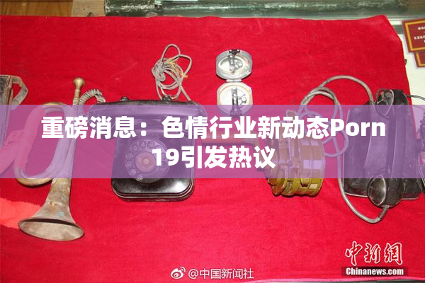 重磅消息：色情行业新动态Porn19引发热议