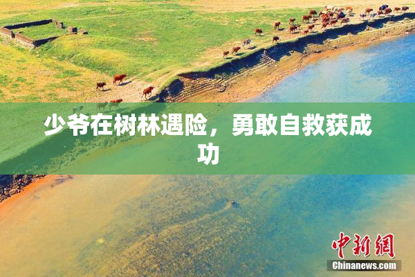 少爷在树林遇险，勇敢自救获成功