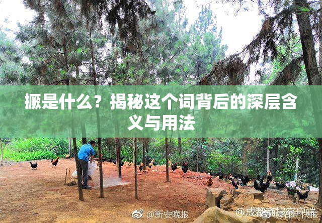 撅是什么？揭秘这个词背后的深层含义与用法