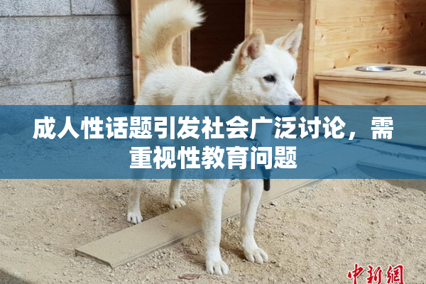 成人性话题引发社会广泛讨论，需重视性教育问题