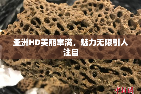 亚洲HD美丽丰满，魅力无限引人注目