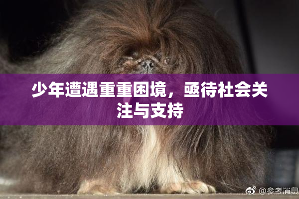 少年遭遇重重困境，亟待社会关注与支持