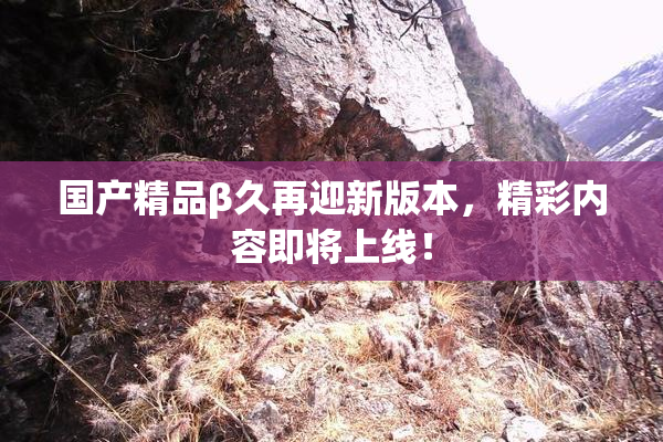 国产精品β久再迎新版本，精彩内容即将上线！