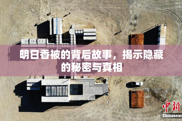 明日香被的背后故事，揭示隐藏的秘密与真相