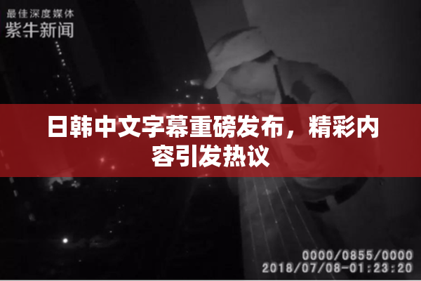 日韩中文字幕重磅发布，精彩内容引发热议