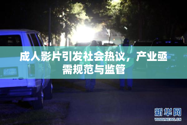 成人影片引发社会热议，产业亟需规范与监管