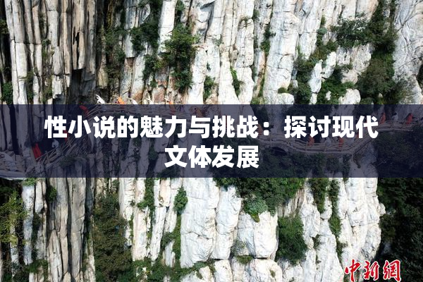 性小说的魅力与挑战：探讨现代文体发展