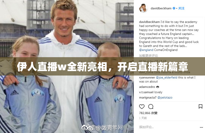 伊人直播w全新亮相，开启直播新篇章