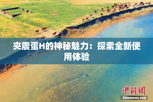夹震蛋H的神秘魅力：探索全新使用体验