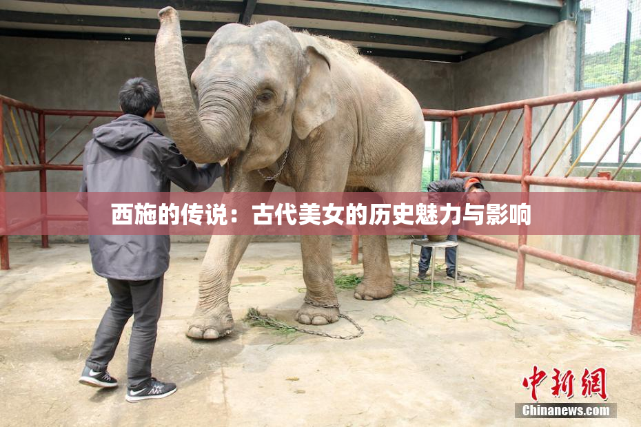 西施的传说：古代美女的历史魅力与影响