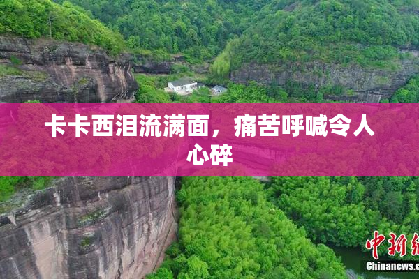 卡卡西泪流满面，痛苦呼喊令人心碎