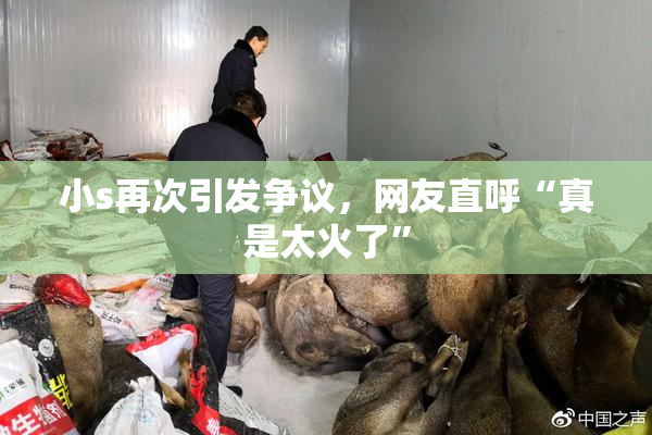 小s再次引发争议，网友直呼“真是太火了”