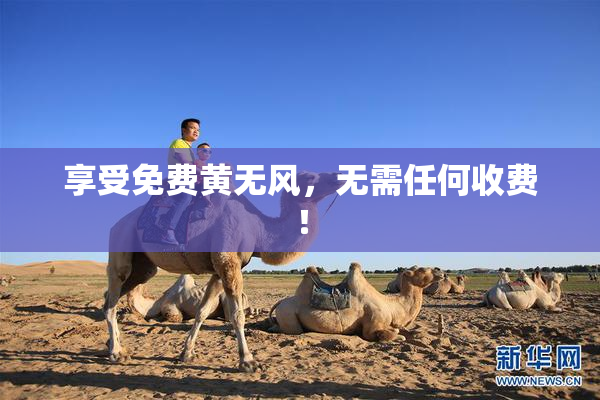享受免费黄无风，无需任何收费！