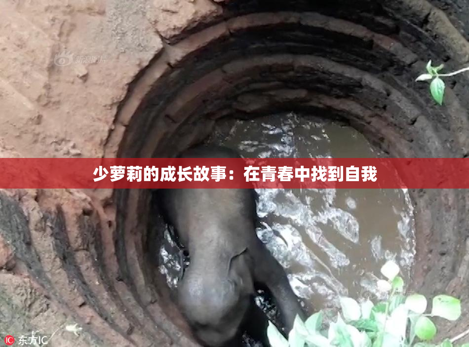 少萝莉的成长故事：在青春中找到自我