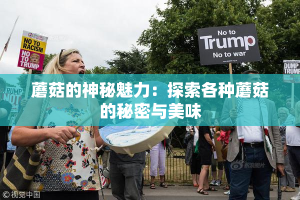 蘑菇的神秘魅力：探索各种蘑菇的秘密与美味