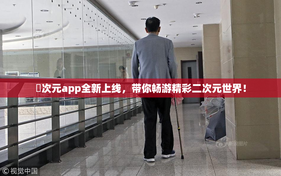 囧次元app全新上线，带你畅游精彩二次元世界！