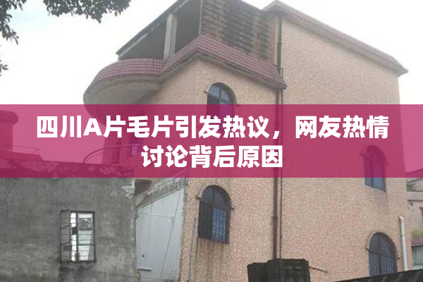 四川A片毛片引发热议，网友热情讨论背后原因