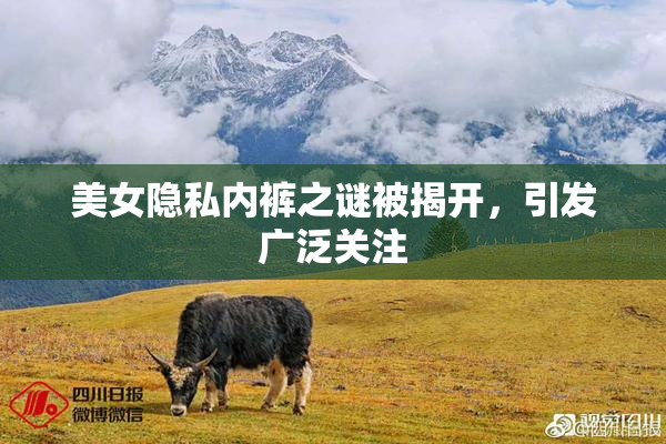 美女隐私内裤之谜被揭开，引发广泛关注