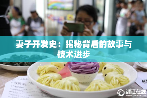 妻子开发史：揭秘背后的故事与技术进步