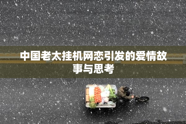 中国老太挂机网恋引发的爱情故事与思考